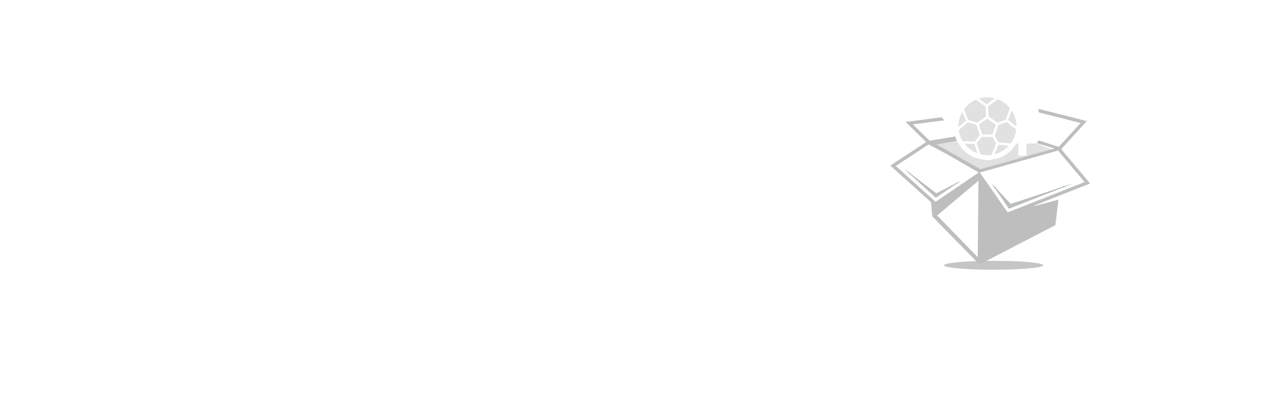 Fantasy Cricket App Development Company | Fantasy Cricket App Developers